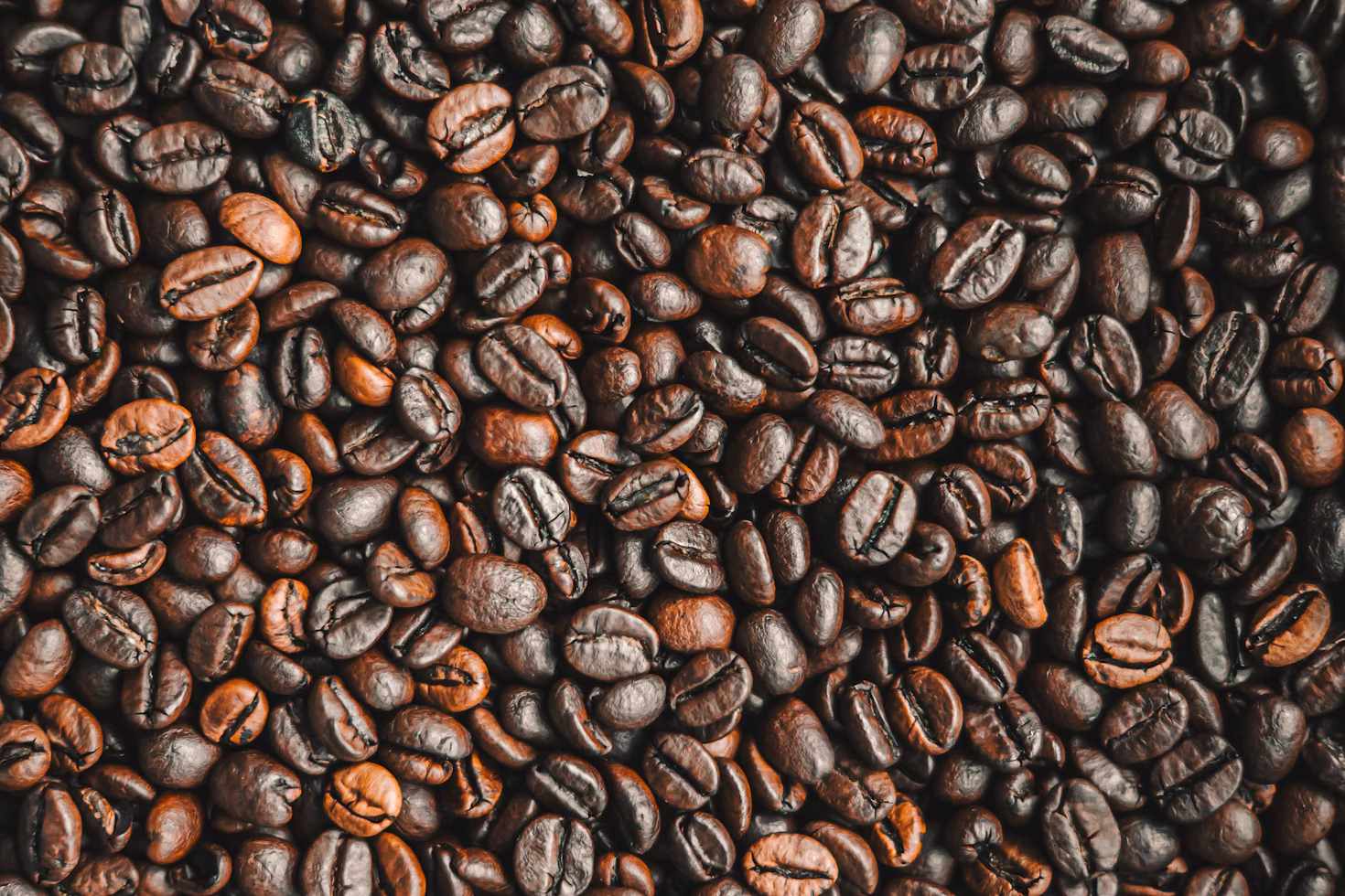 Coffee beans — premium roast